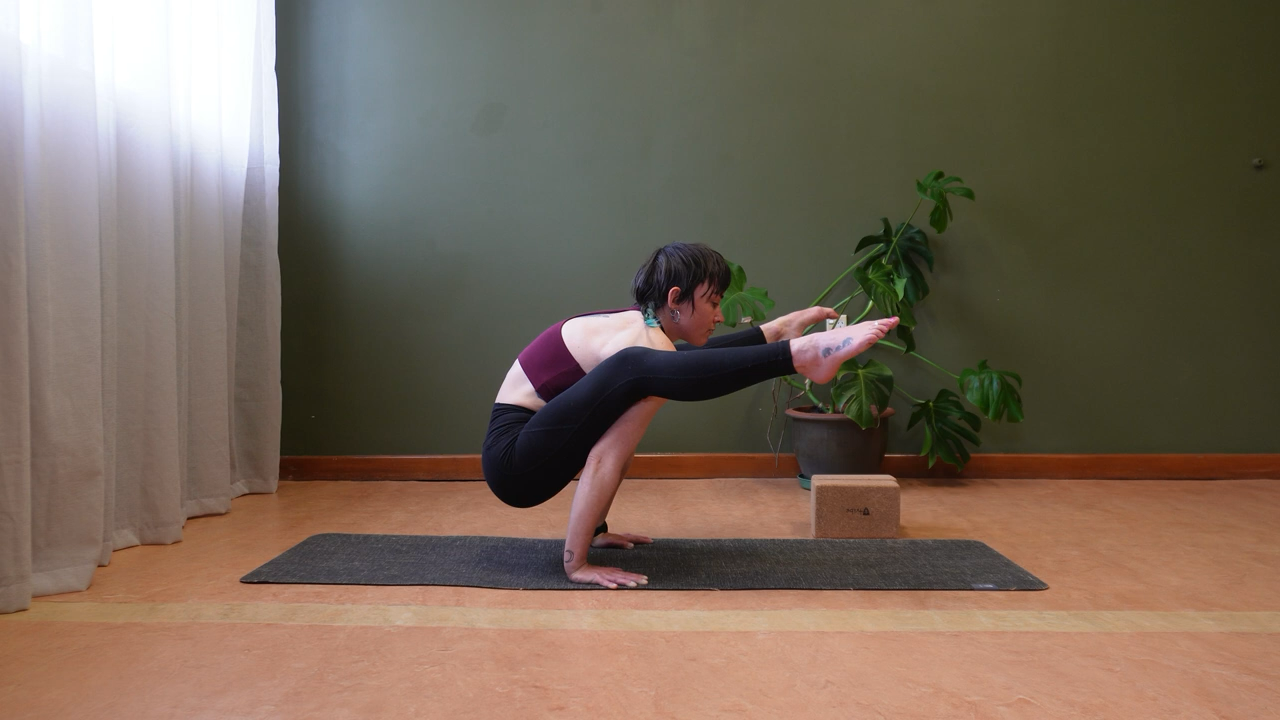 Tittibhasana- Firefly pose
