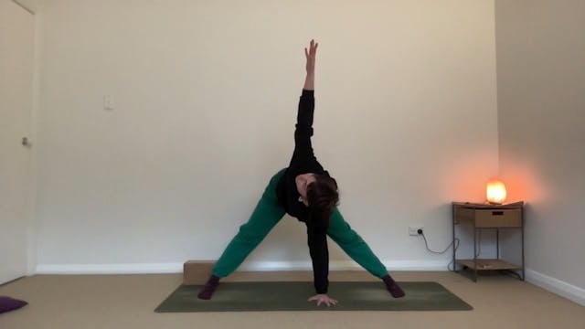 60 minute Side Body Twist Vinyasa Flow