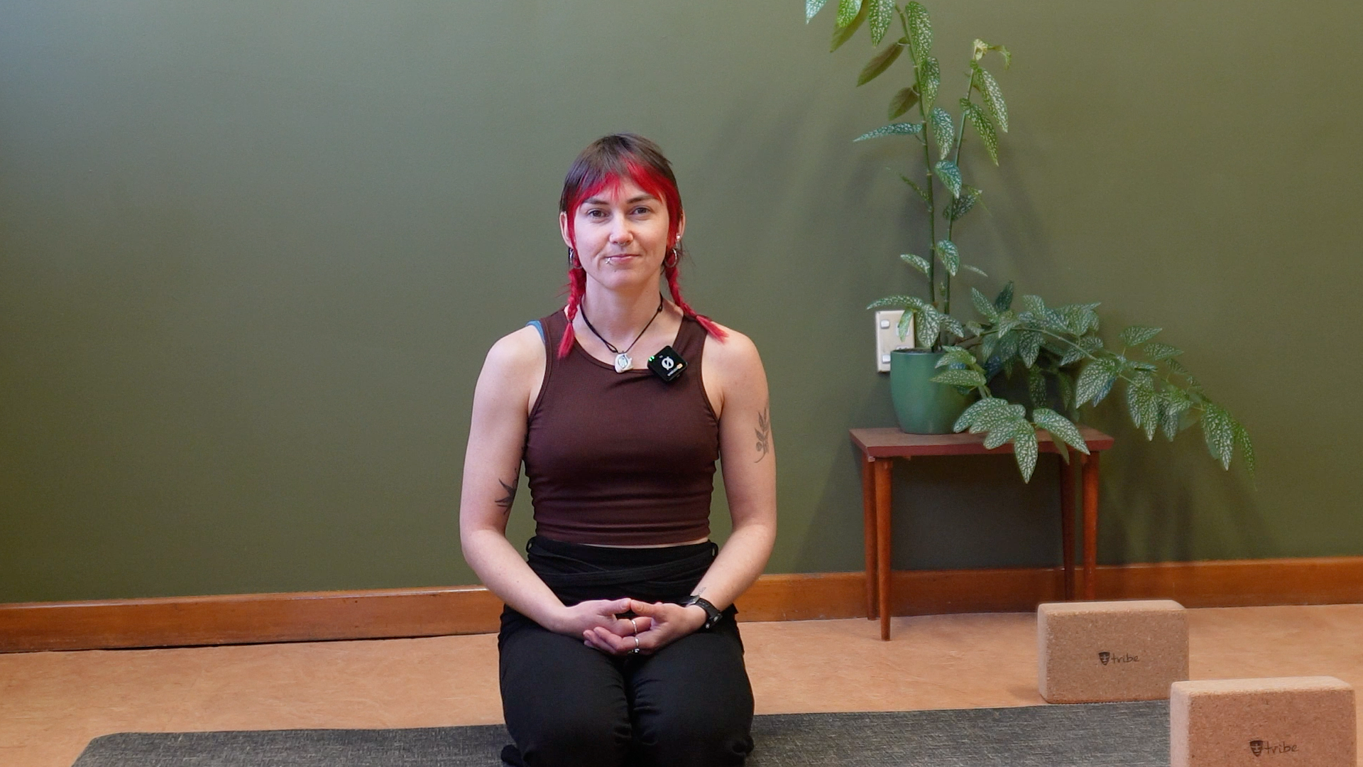 Intro 7 day Healthy Hips and Hammies Challenge