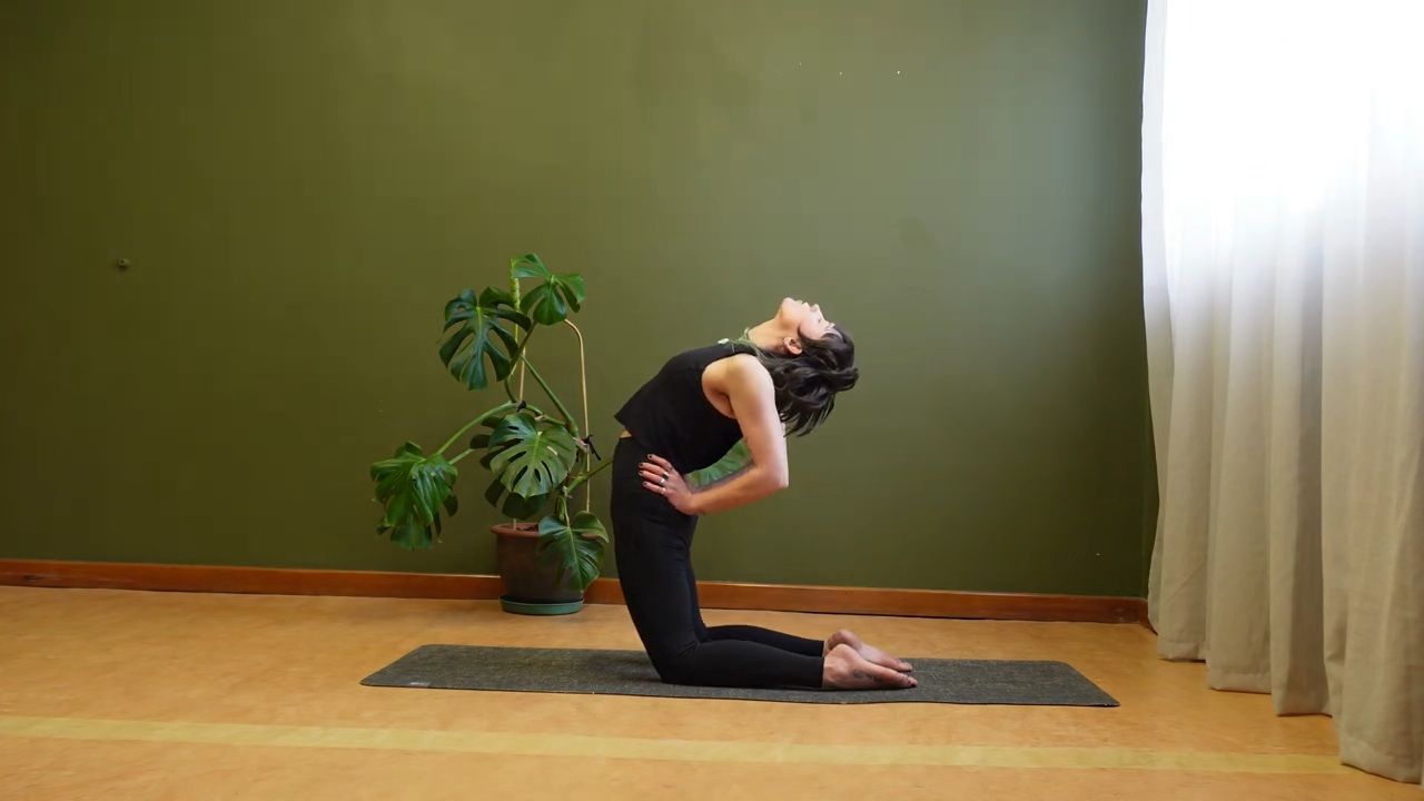 17 minute Front Body Flow