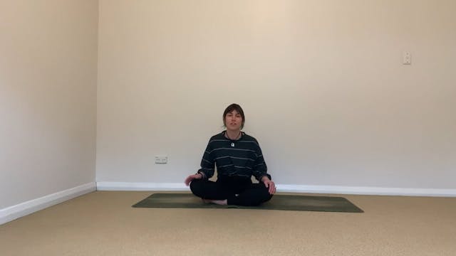 30 min Standing and Arm Balance flow
