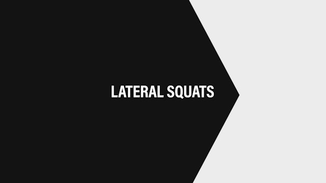 Lateral Squats HIITSTEP Exercises Horizontal