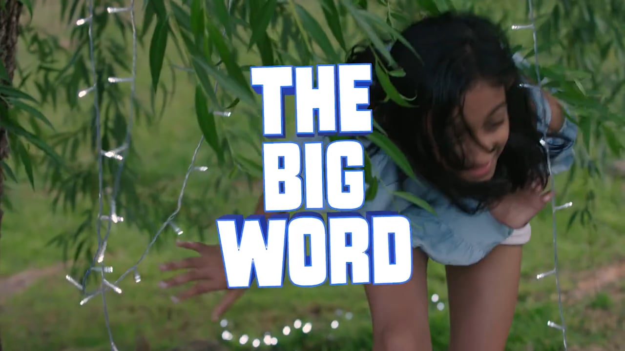 Celebrate - Week 1-3 BIG WORD (Luke 2:11)