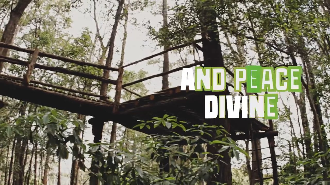 Celebrate - WORSHIP: Born is the King (BACKING)