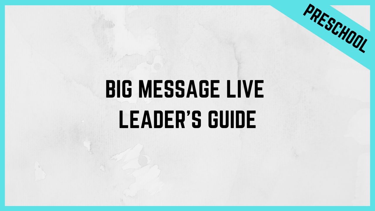 BiG Message Leader's Guide PDF