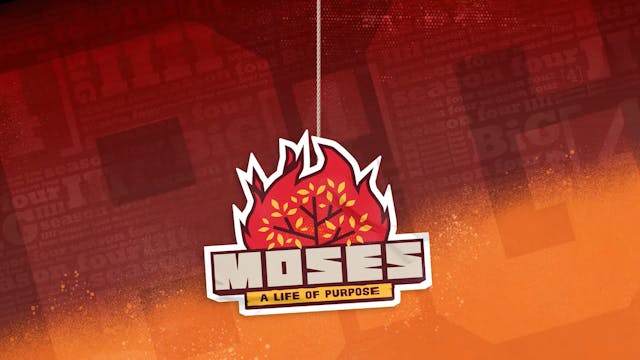 MOS | Additional Needs | Theme Screen