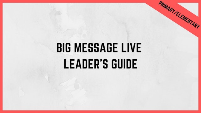 Big Message Leaders Guide PDF