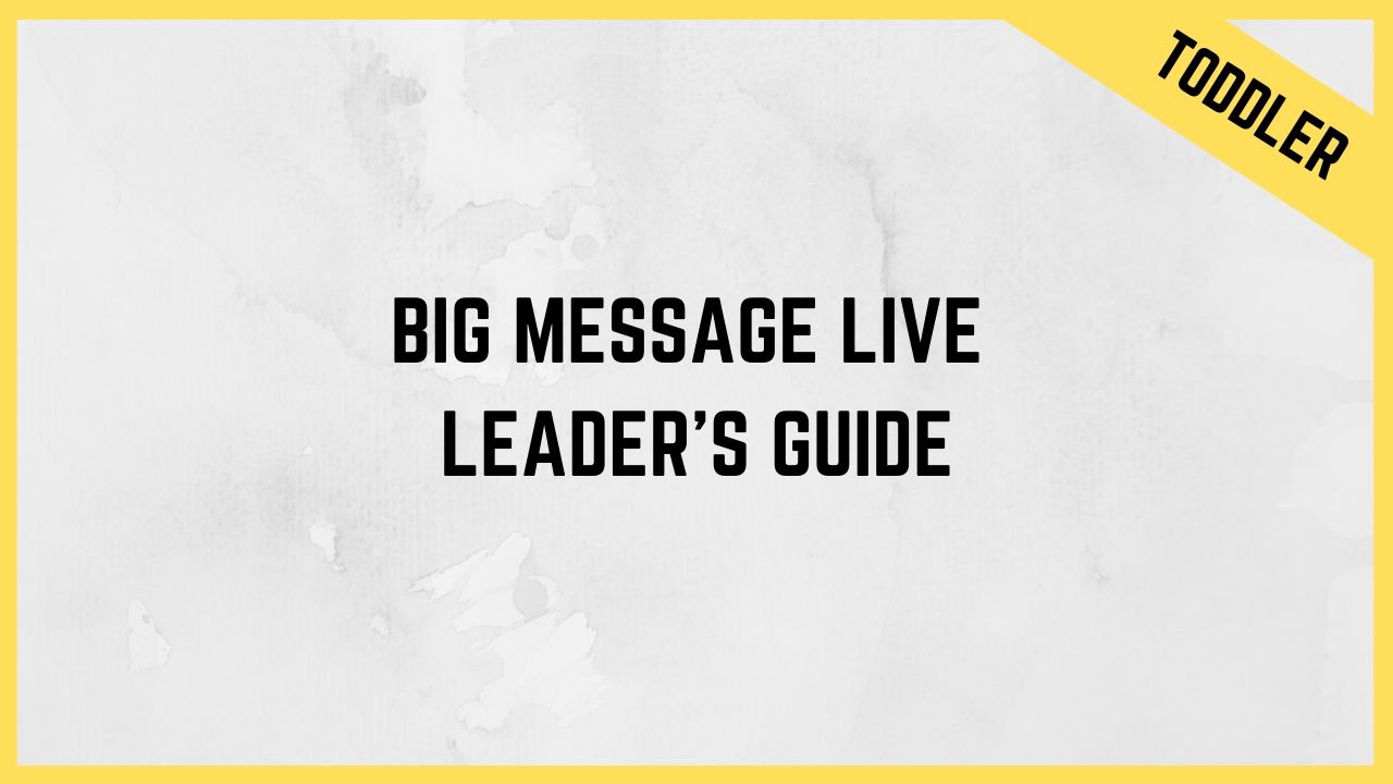 BiG Message Leader's Guide PDF