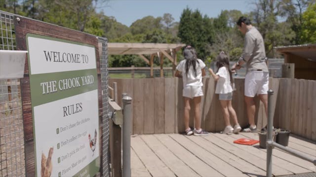 WYSIA 2.1 | Additional/Special Needs ...