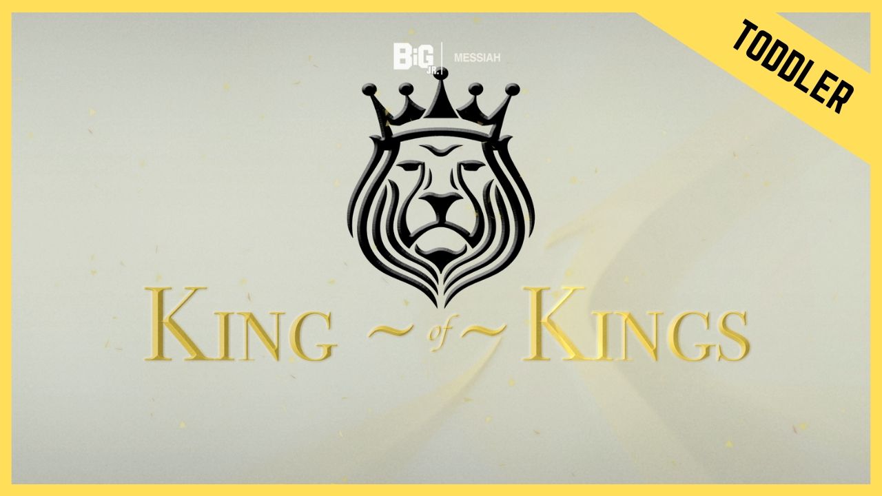 King Of Kings | Toddler