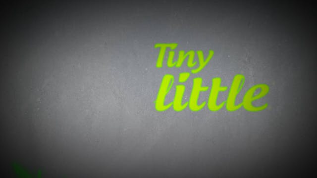 Worship | Tiny Little Voice