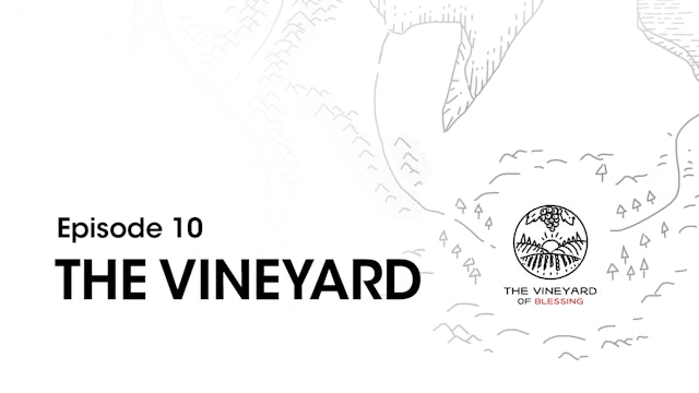 Study Guide Week 10 - The Vineyard
