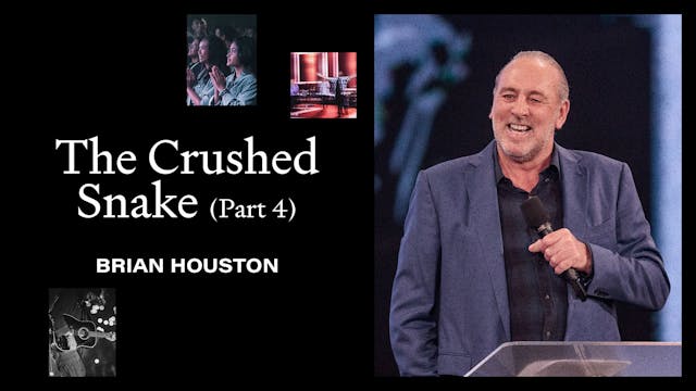 The Crushed Snake Pt.4 by Brian Houston