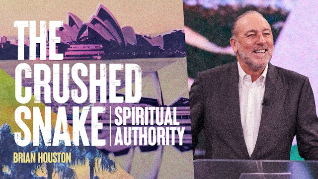 The Crushed Snake by Brian Houston