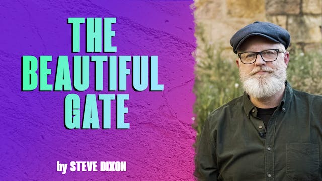 The Beautiful Gate by Steve Dixon