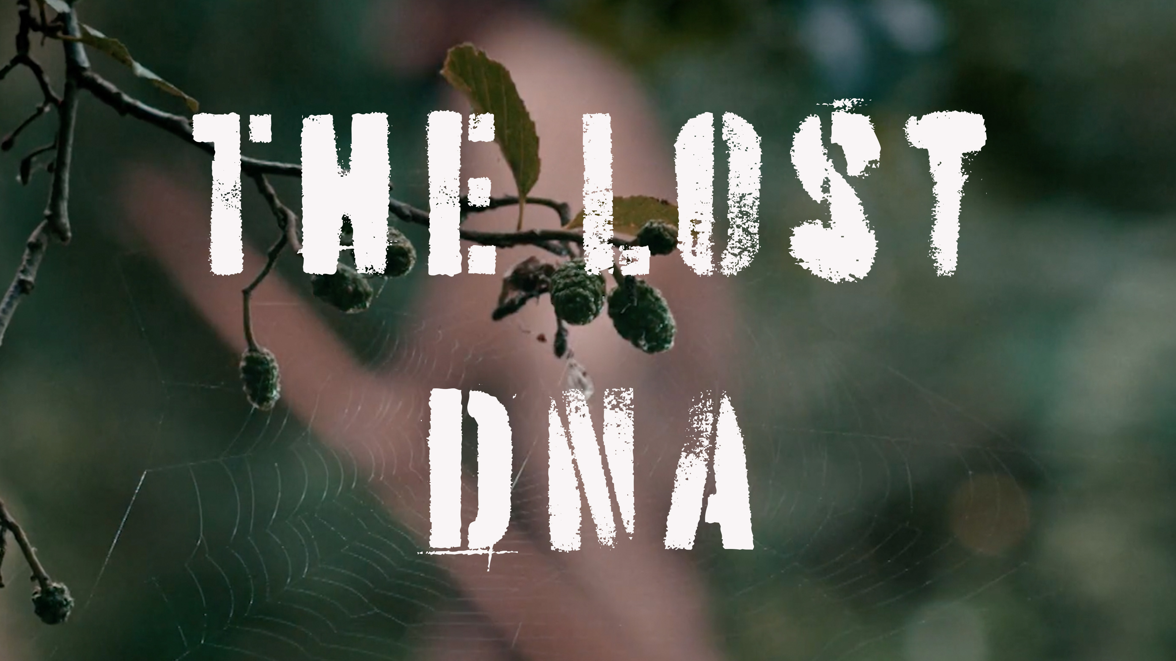 The Lost DNA