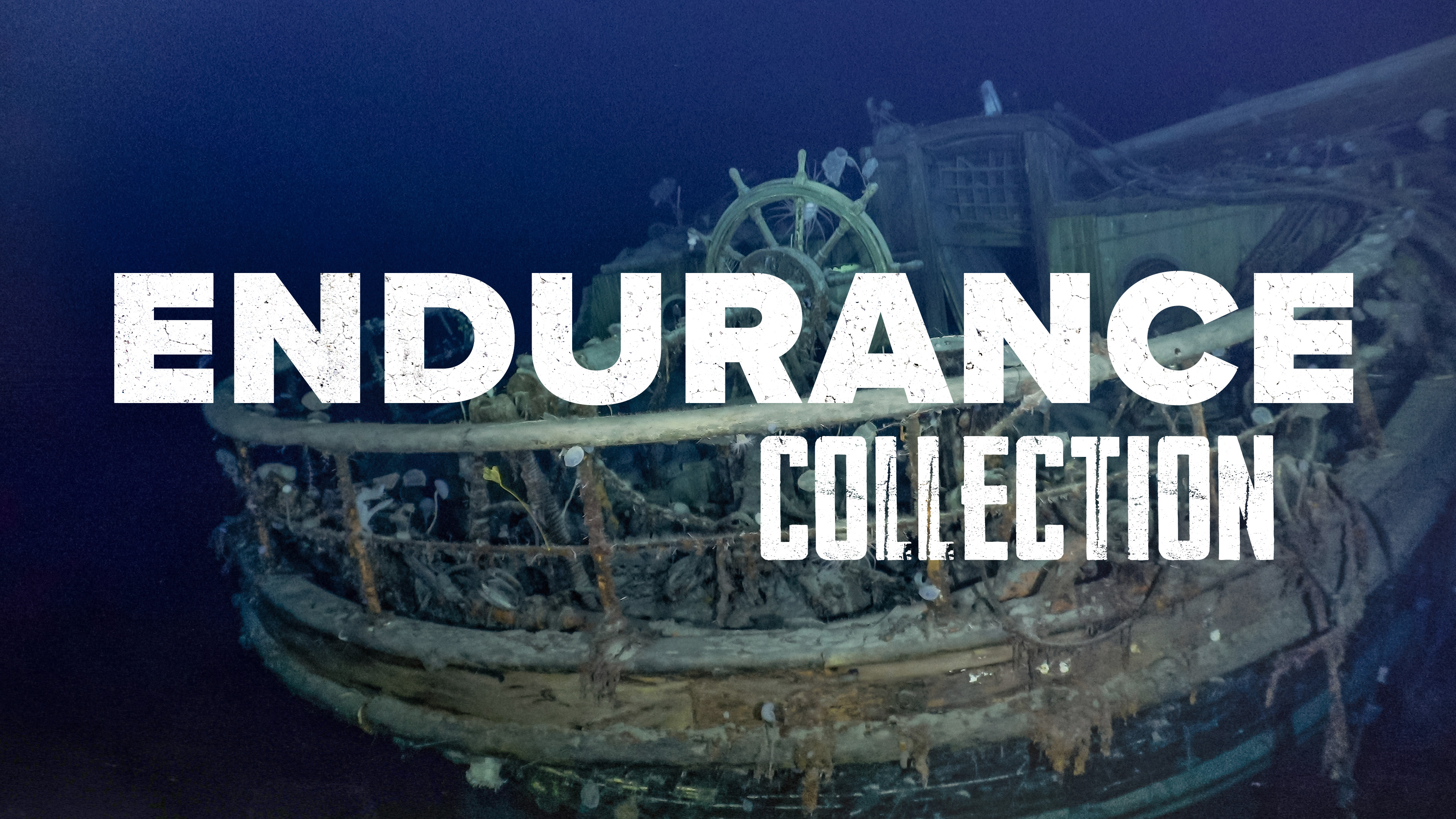 Endurance Collection