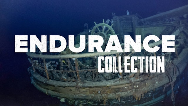 Endurance Collection