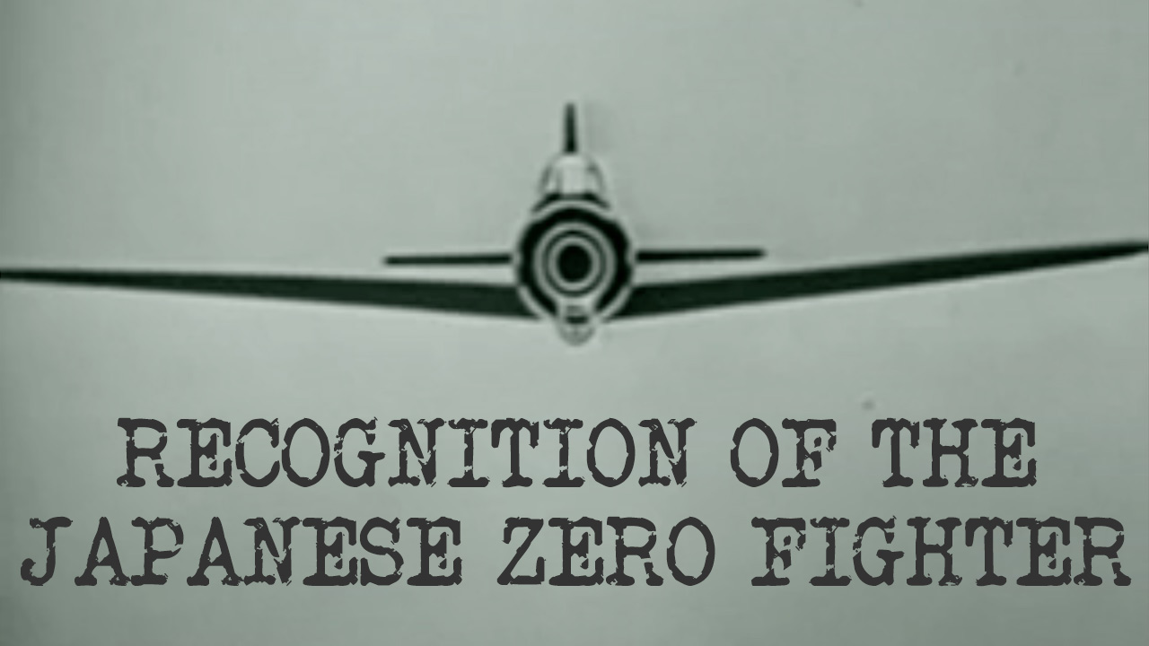 Recognition of the Japanese Zero