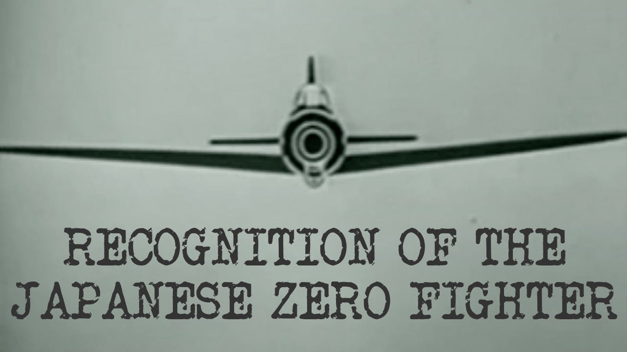 Recognition of the Japanese Zero History Hit