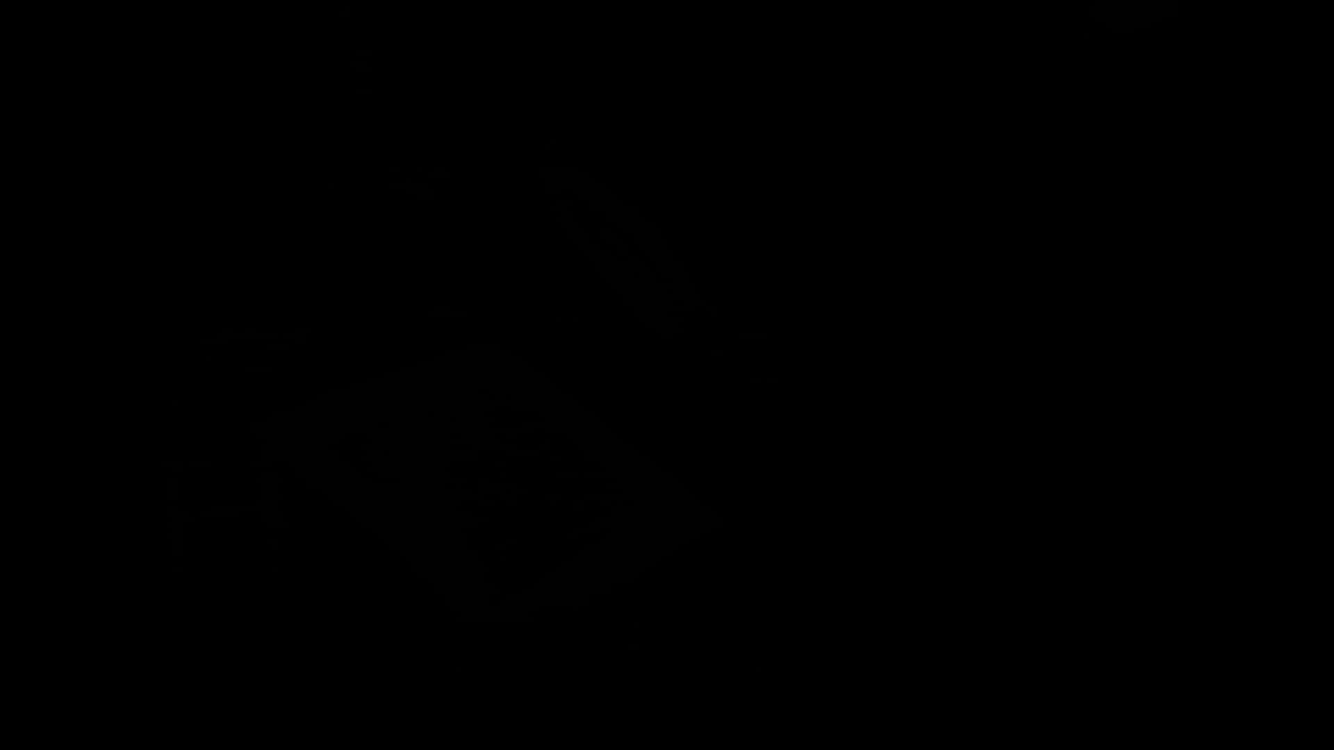 Japan's Last Secret Weapons