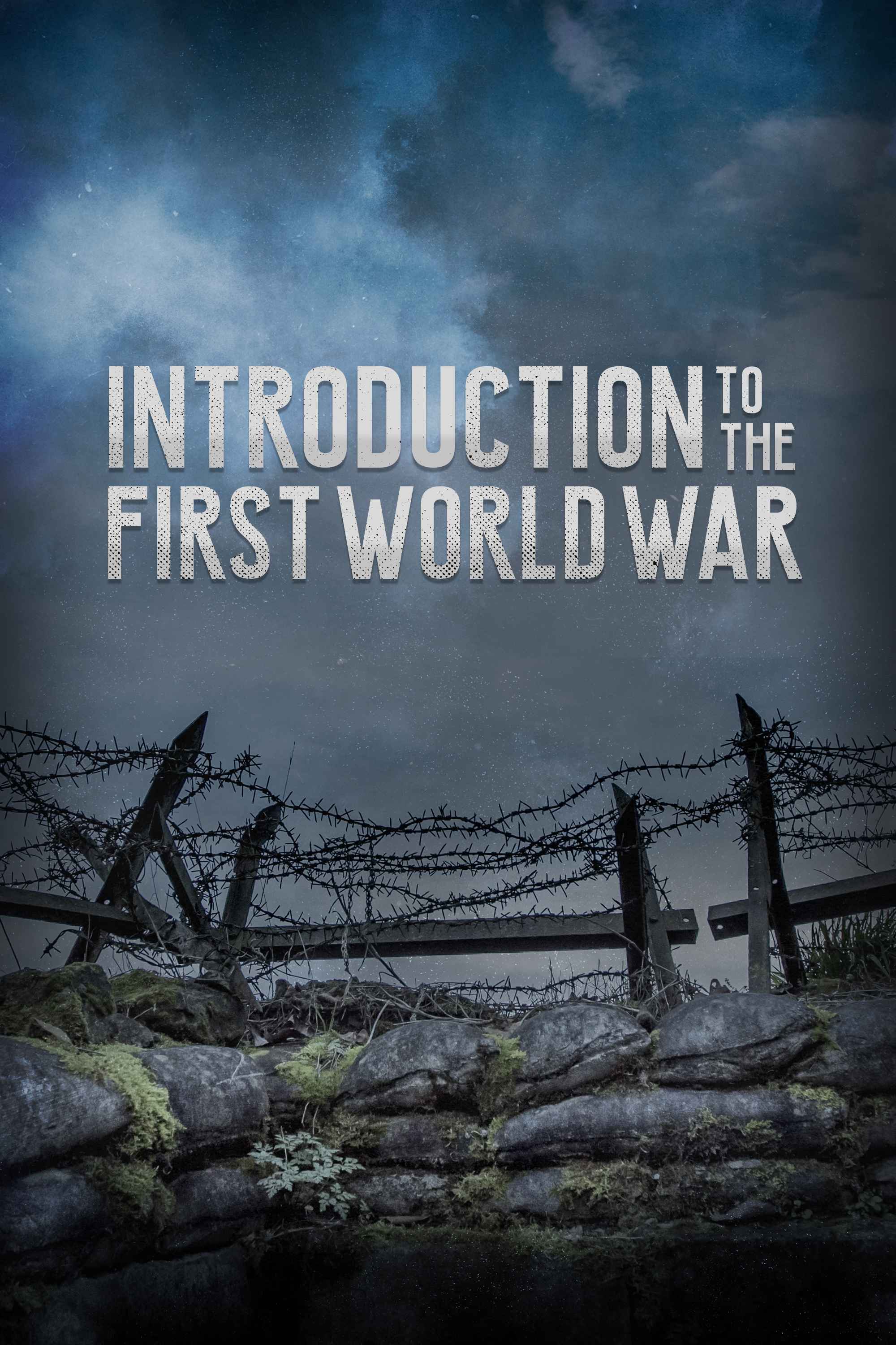 Introduction to the First World War