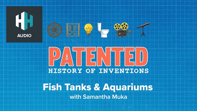 🎧 Fish Tanks and Aquariums