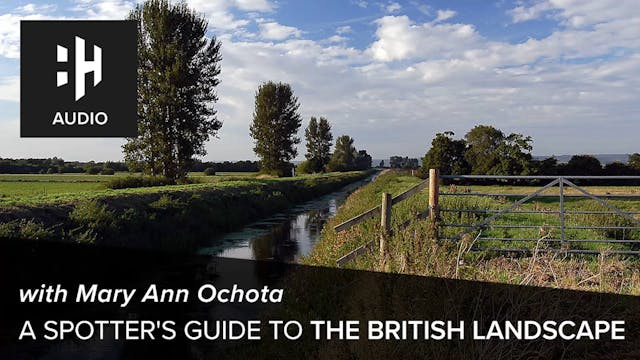 🎧 A Spotter's Guide to the British La...