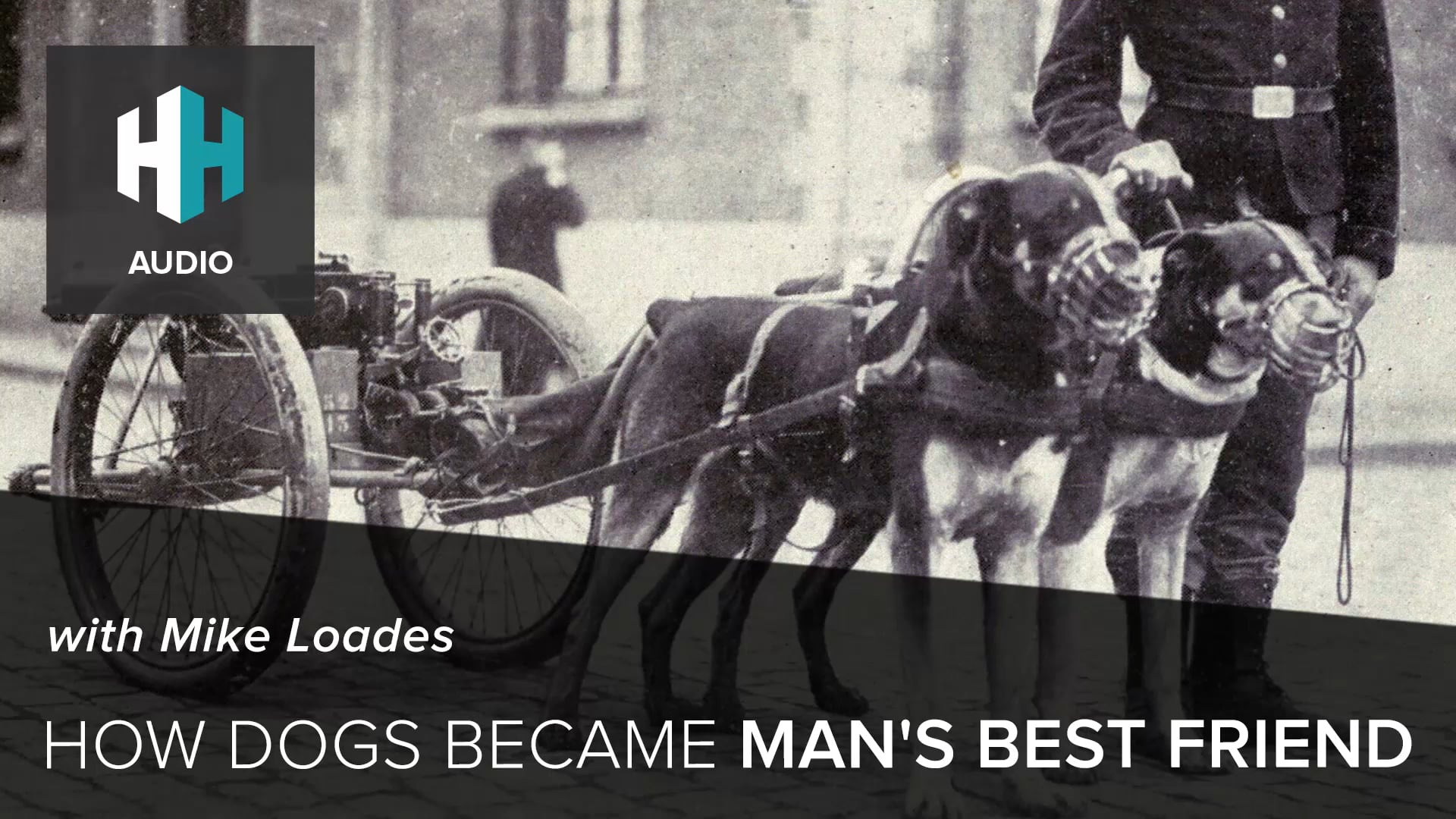 🎧 How Dogs Became Man's Best Friend