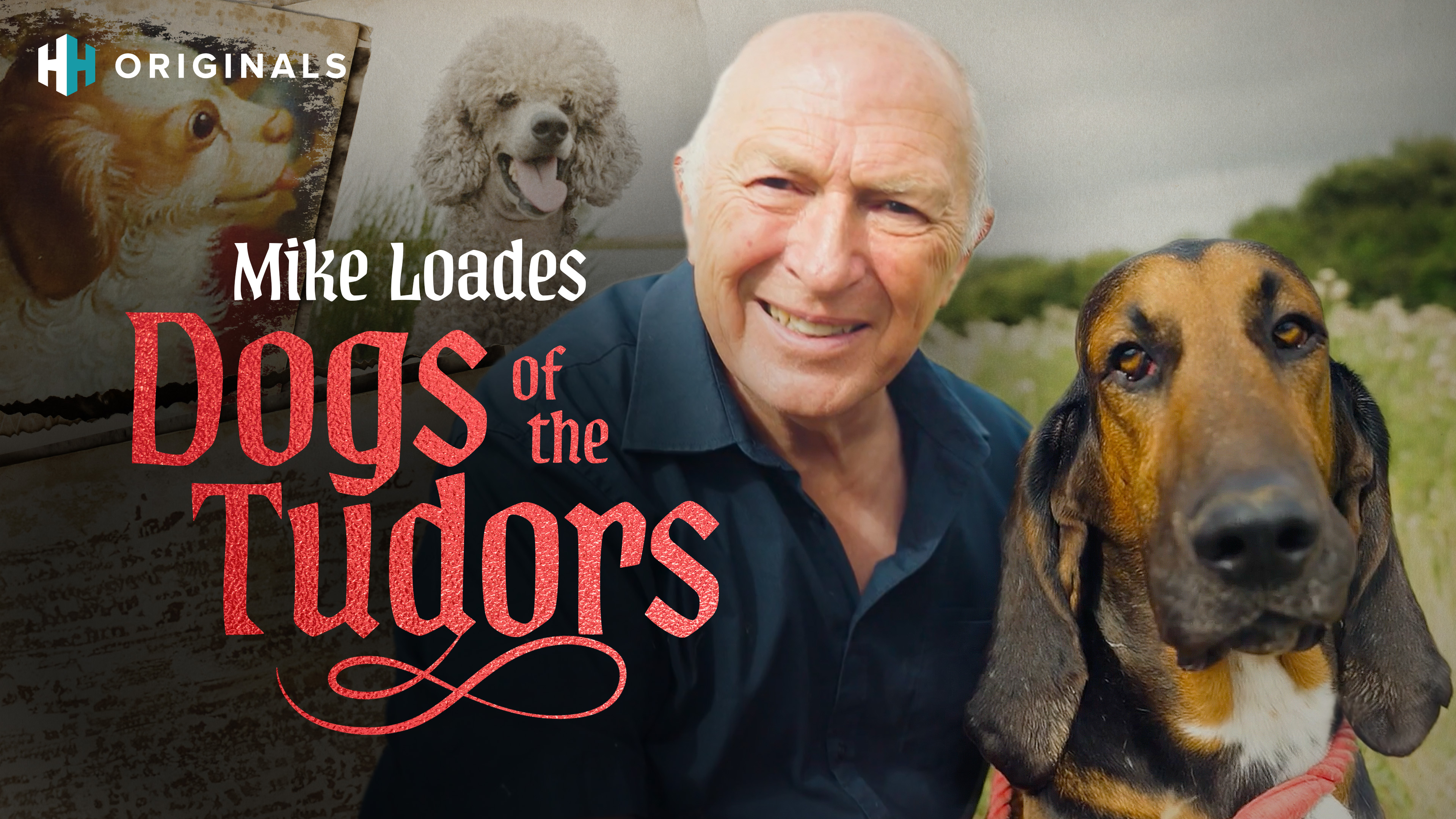 Dogs of the Tudors