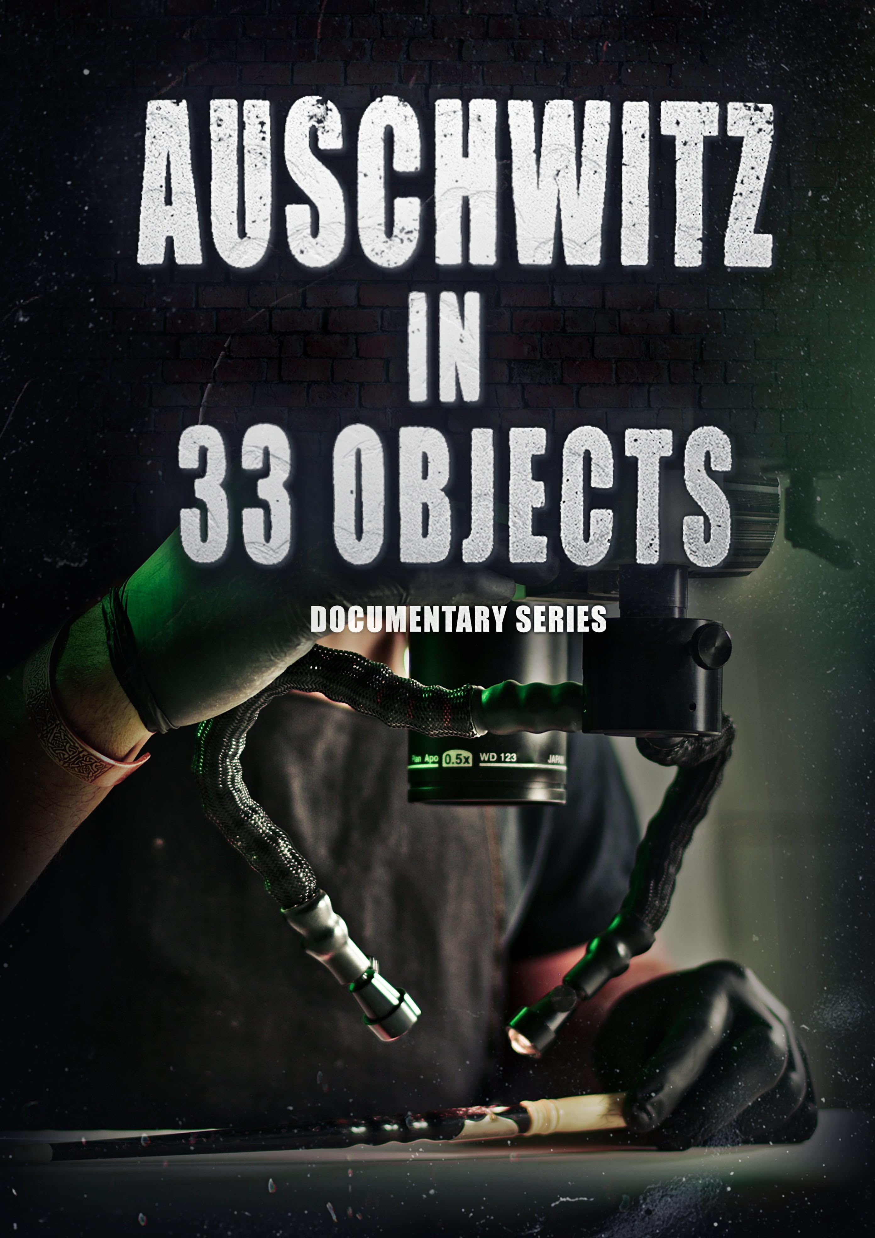 Auschwitz in 33 Objects