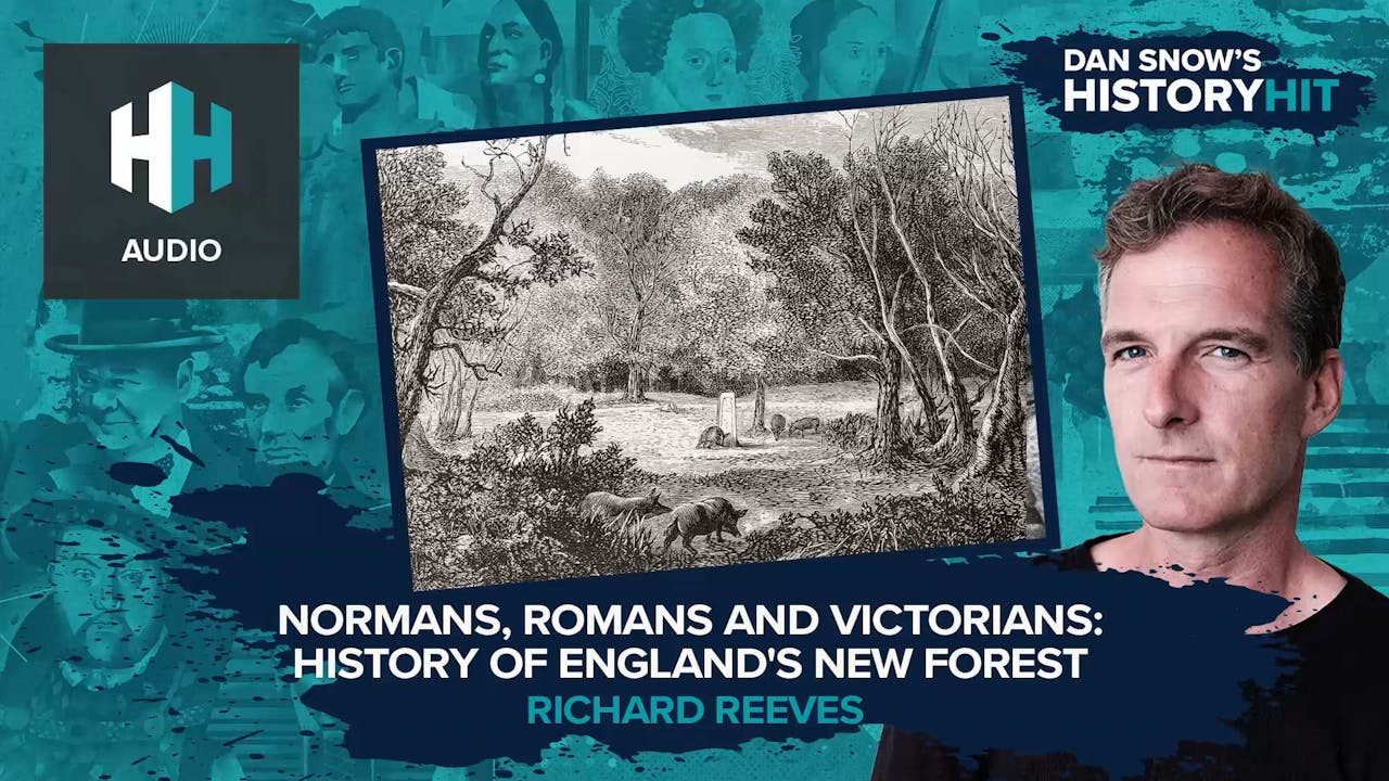 🎧 Normans, Romans and Victorians History of England's New Forest 🎧