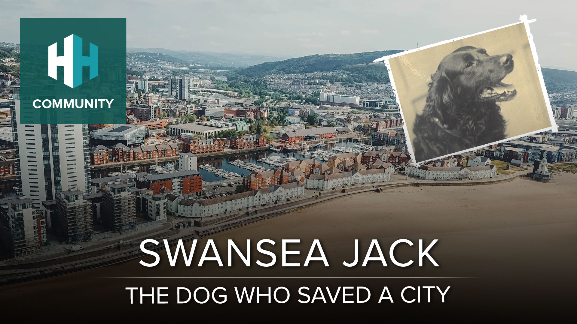 Swansea Jack: The Dog who Saved a City