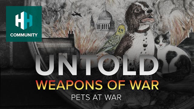 Pets at War