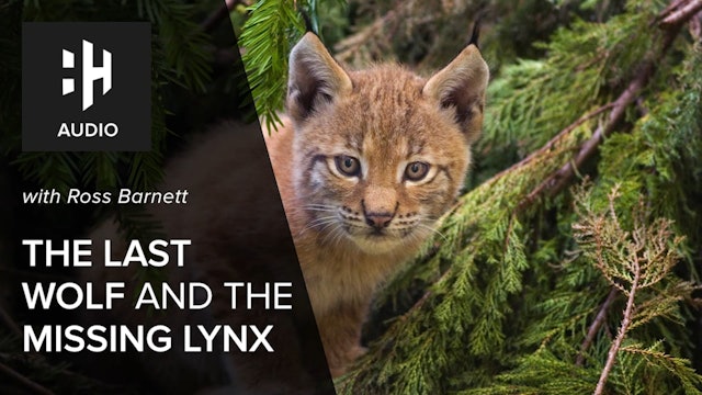 🎧 The Last Wolf and the Missing Lynx with Ross Barnett