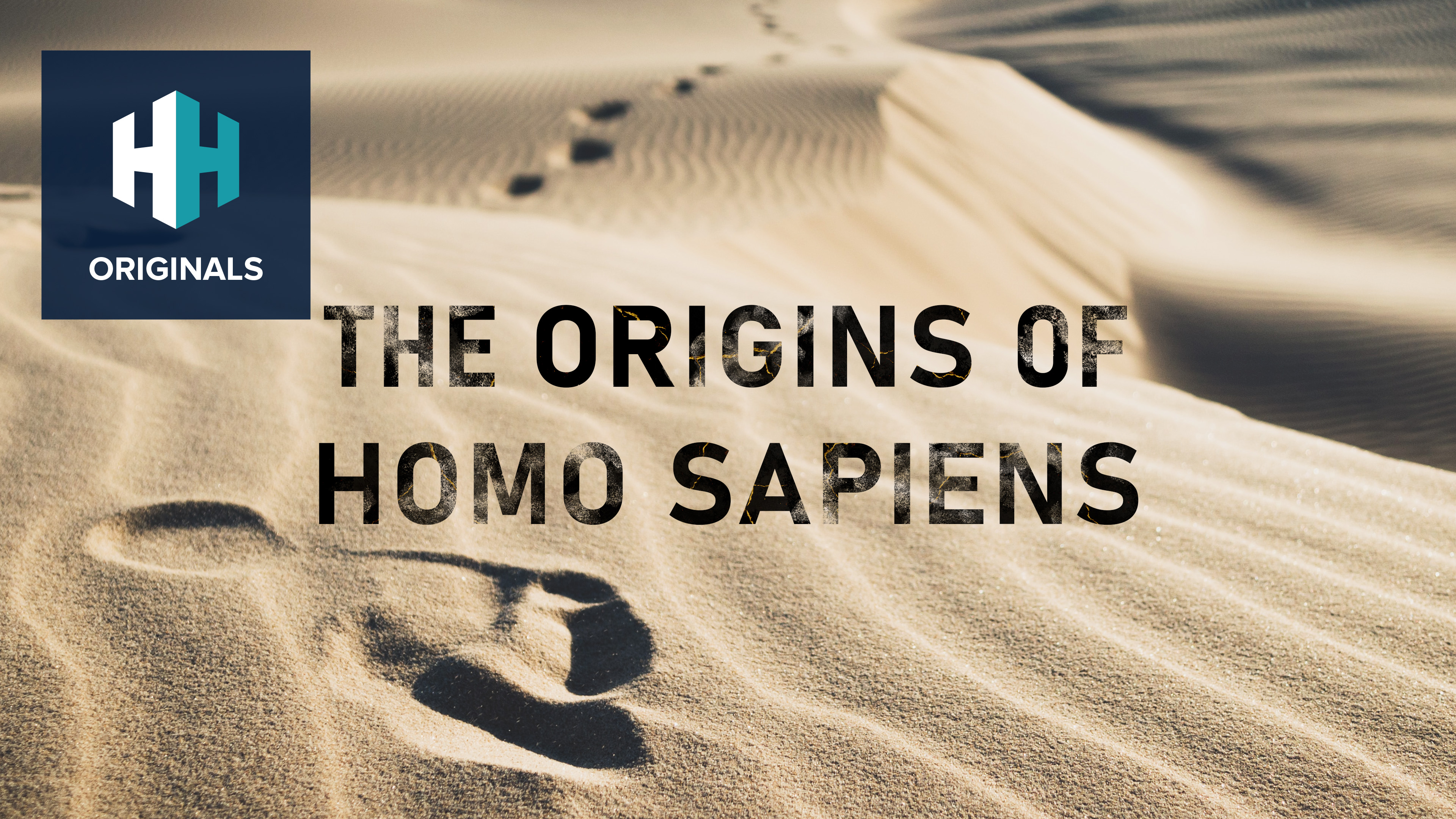 The Origins Of Homo Sapiens