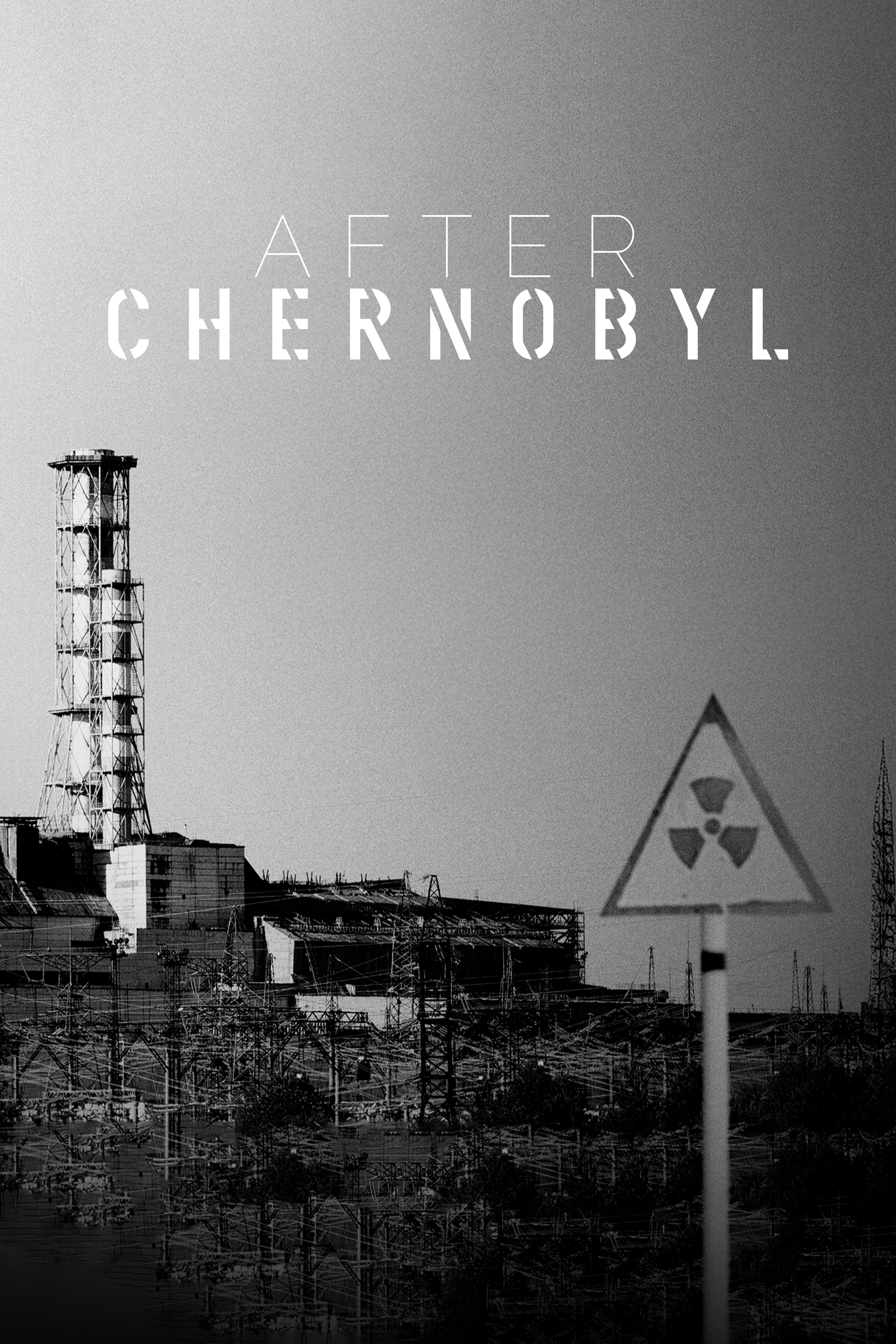 After Chernobyl