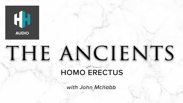 🎧 Homo Erectus