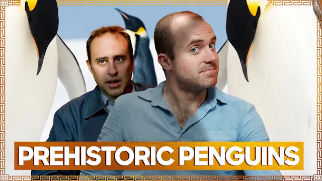 Prehistoric Penguins | The Ancients