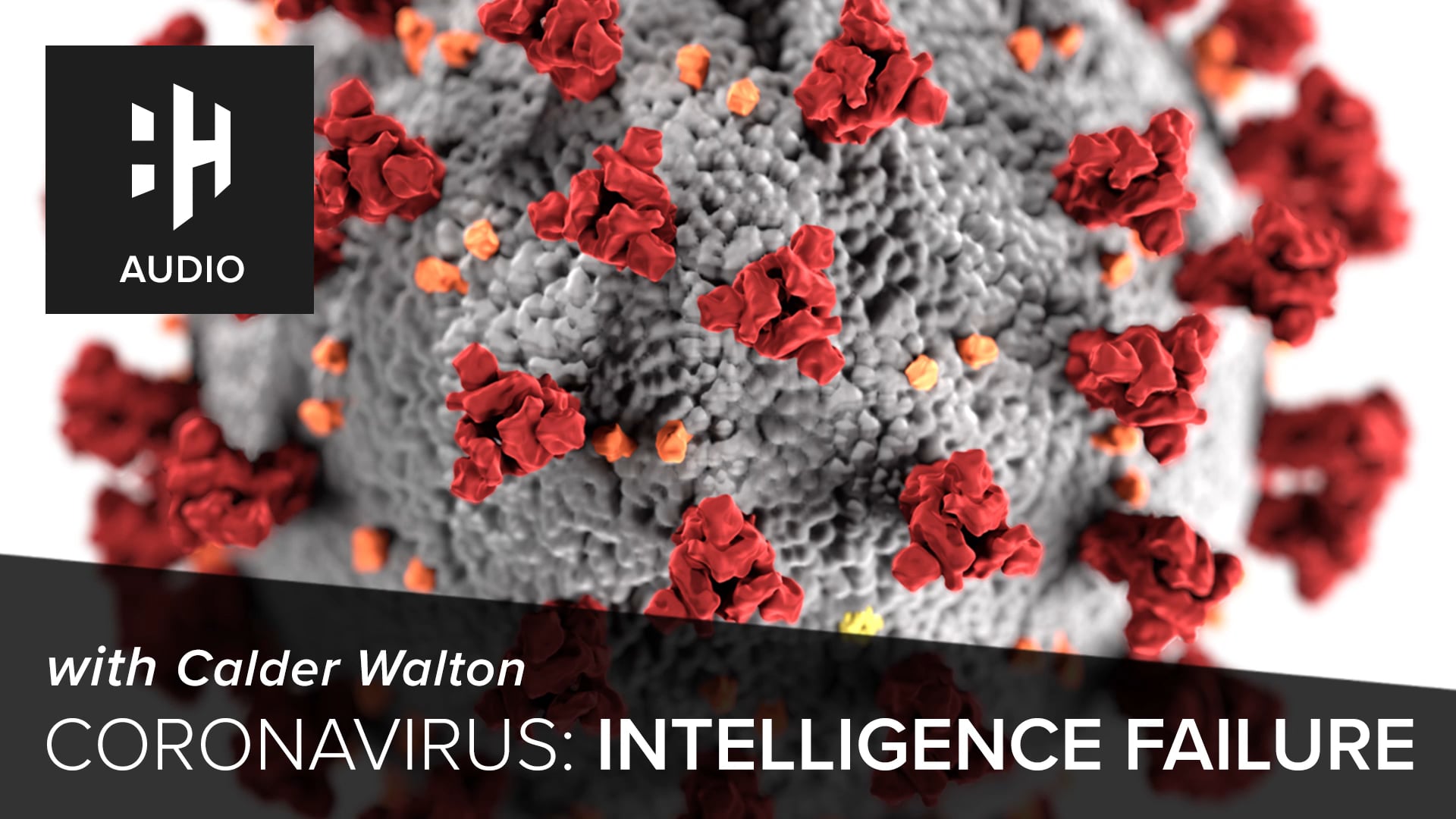 🎧 Coronavirus: Intelligence Failure