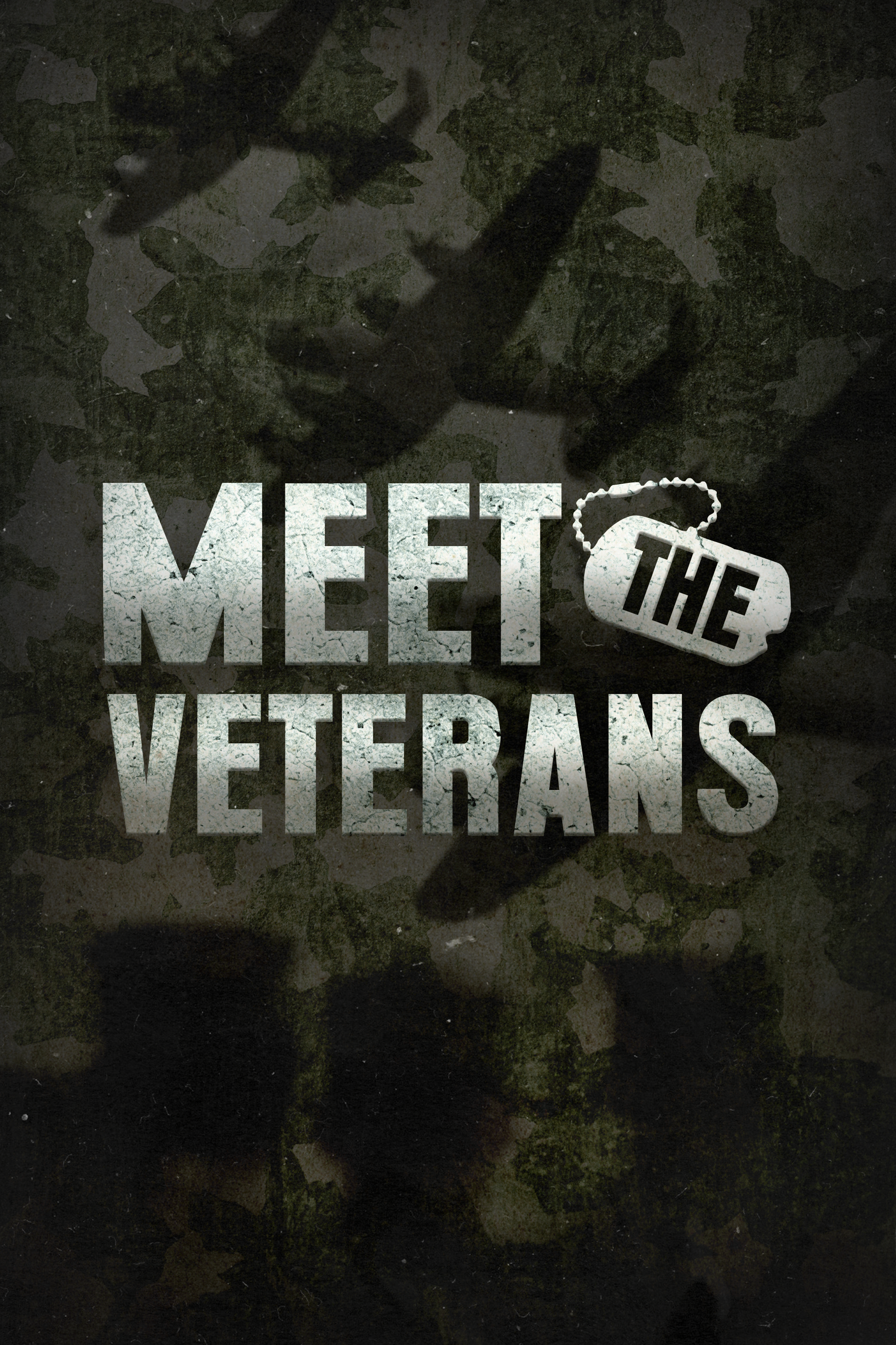 Meet the Veterans