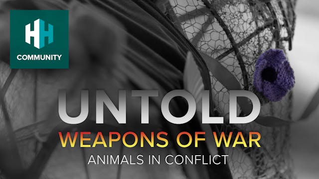 Animals in Conflict