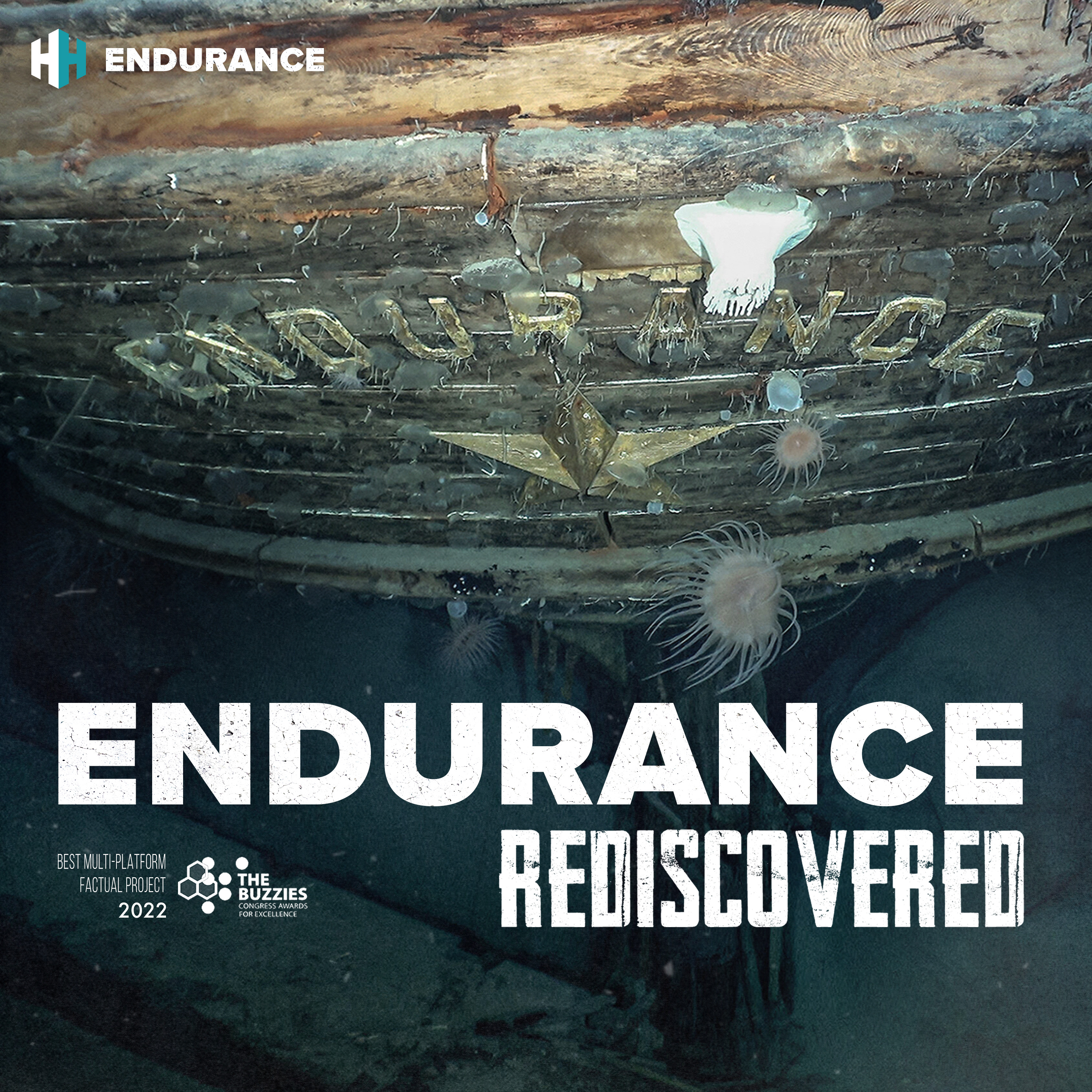 Endurance: Rediscovered