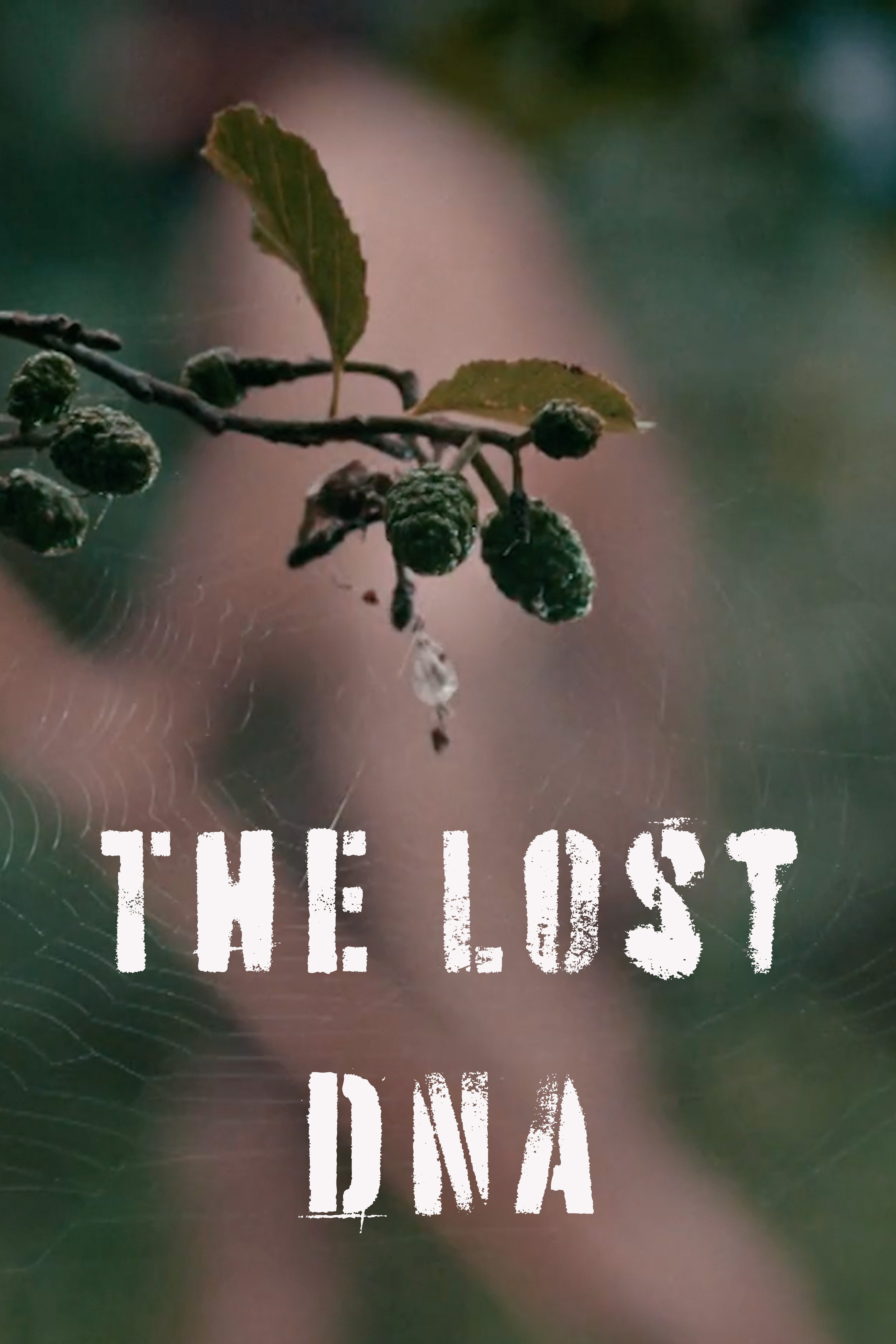 The Lost DNA