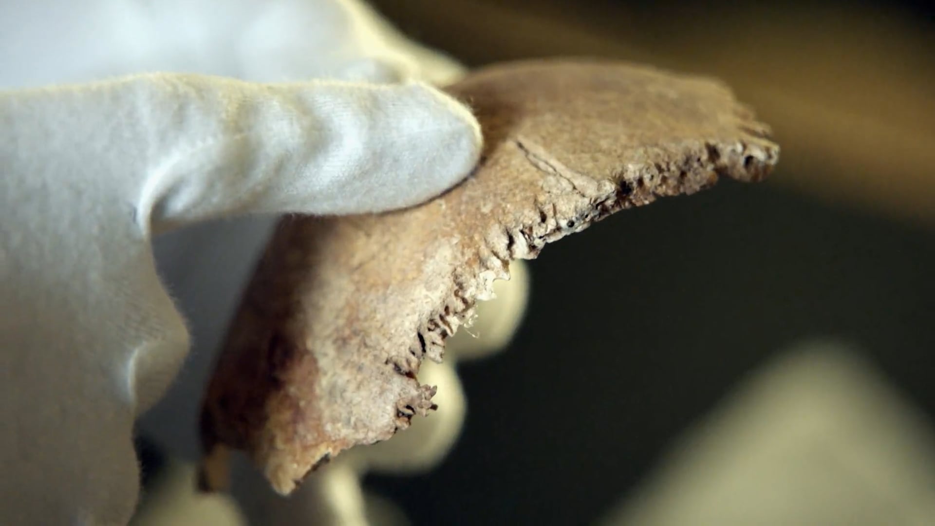 The Vikings Uncovered: Episode 2