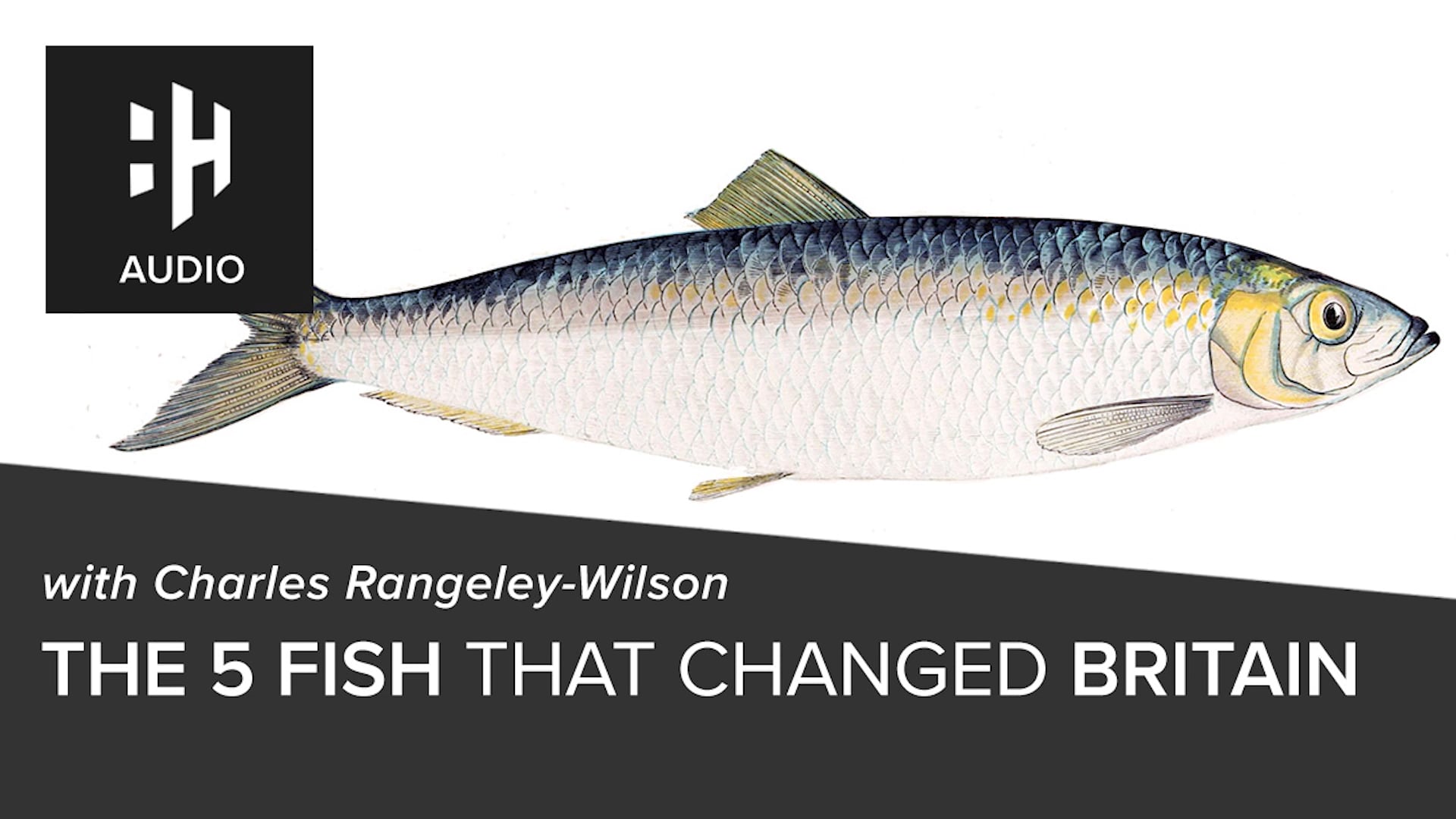 🎧 The 5 Fish That Made Britain with Charles Rangeley-Wilson