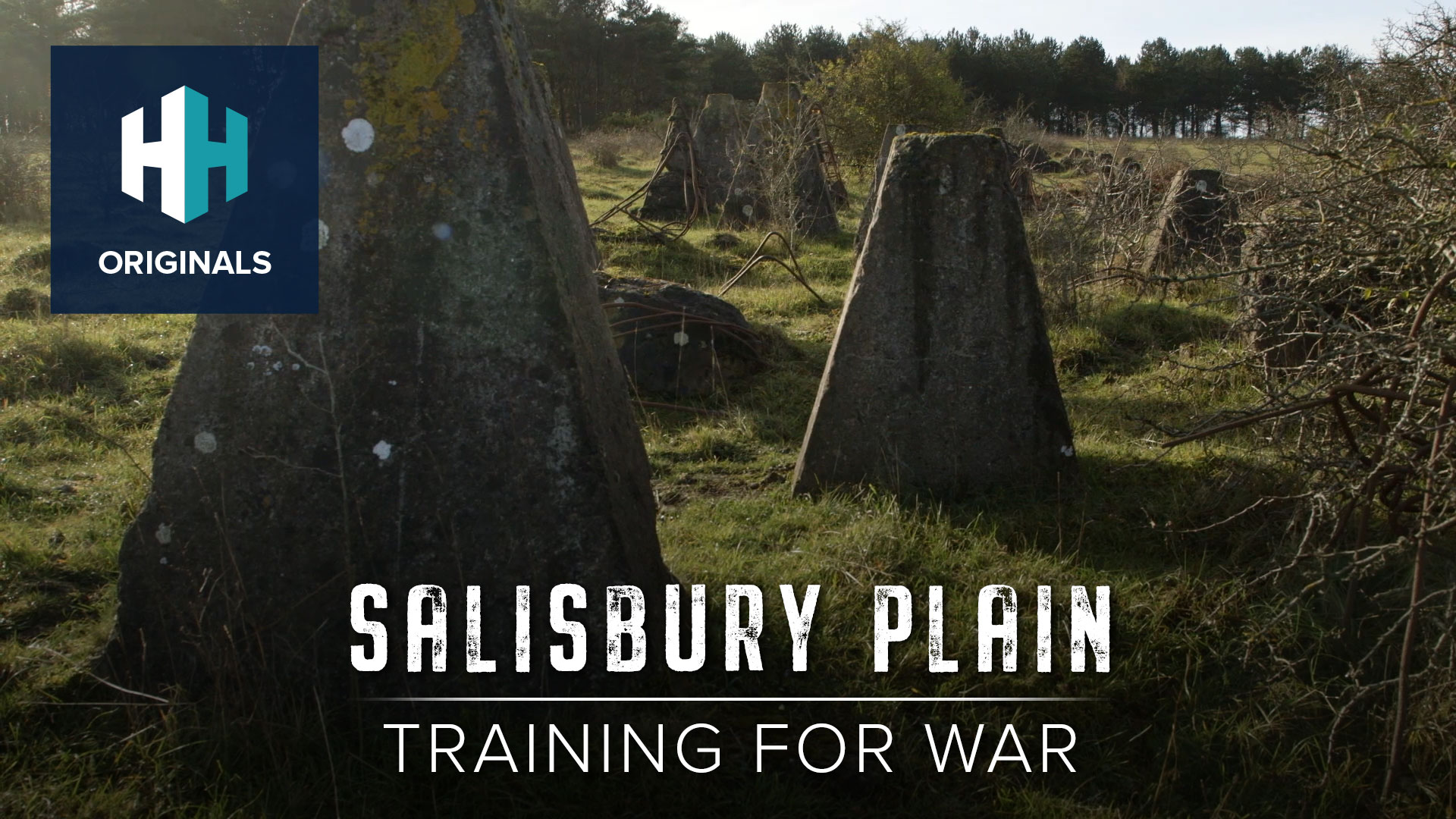 Salisbury Plain: Training for War