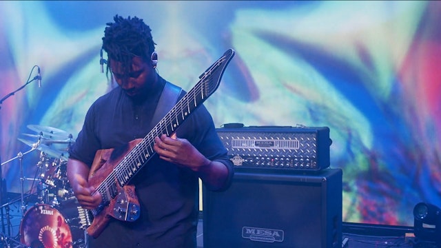 Animals As Leaders - Physical Education