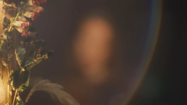 Code Orange - Mirror