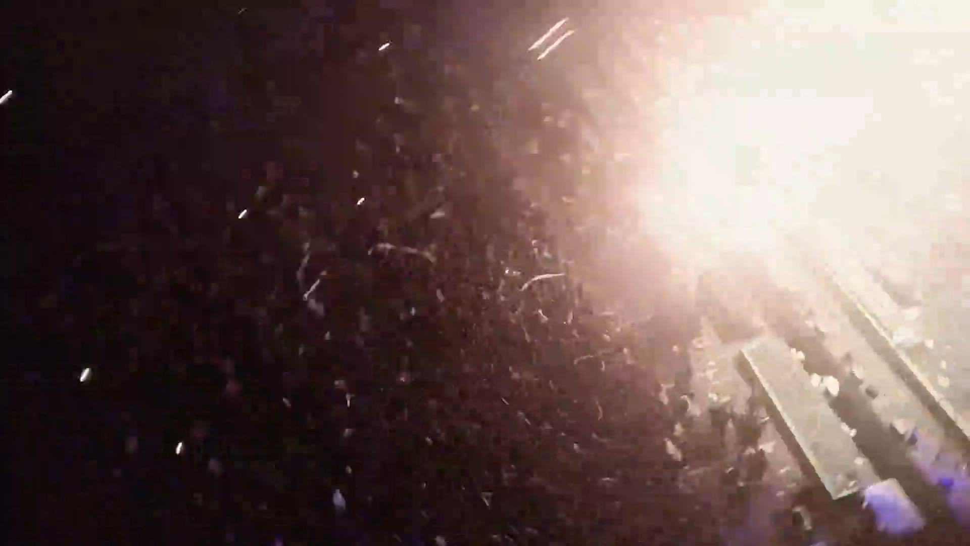 Vans Warped Tour Orlando 2025 – Livestream Trailer